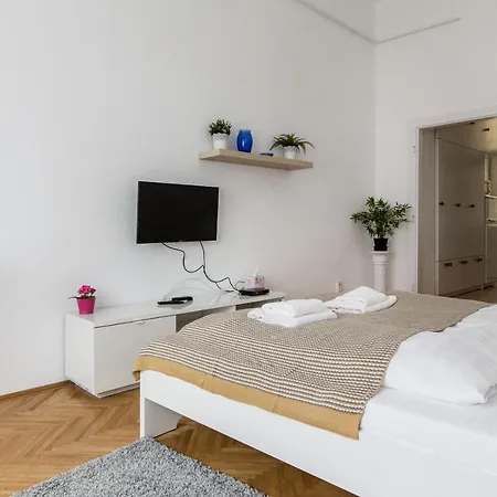 Apartment In The Living